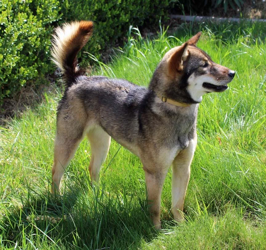 Aang pornosini onlayn tomosha qiling